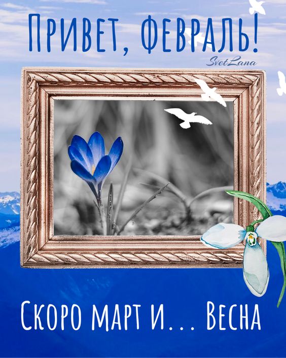 Доброго утра февраля картинки