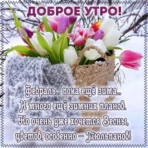 Доброе утро февраля картинки с пожеланиями доброго утра