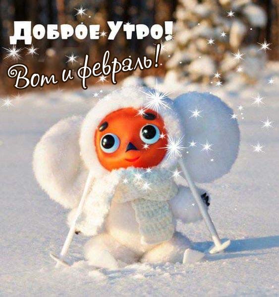 1 февраля доброе утро доброго утра картинки