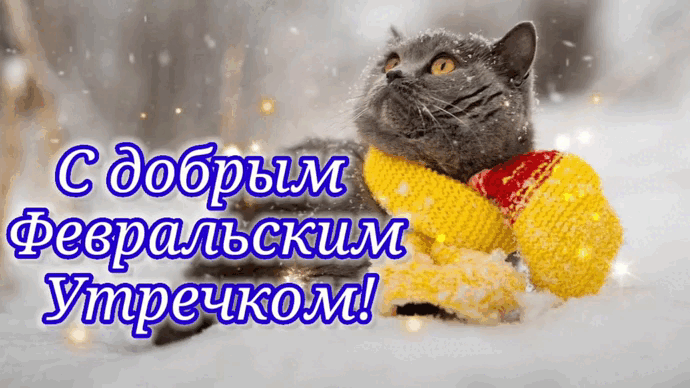Доброго утра февраля хорошего дня