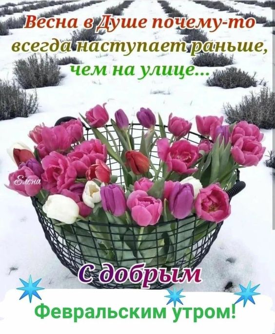 Доброго утра февраля картинки доброе утро