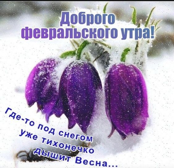 Доброго утра февраля картинки 1