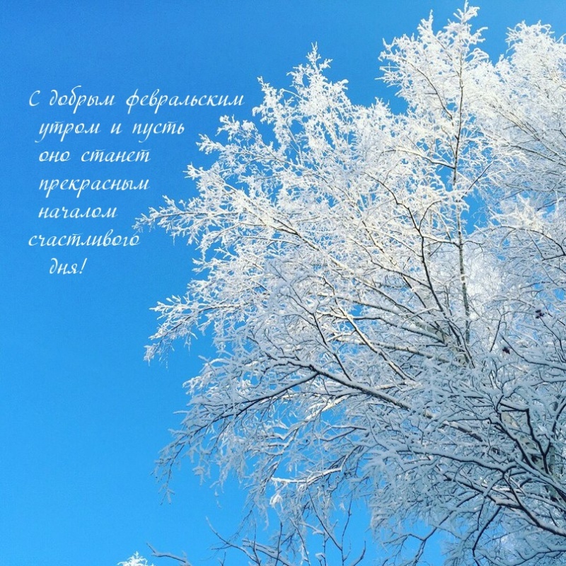 Доброе утро февраля открытки скачать бесплатно