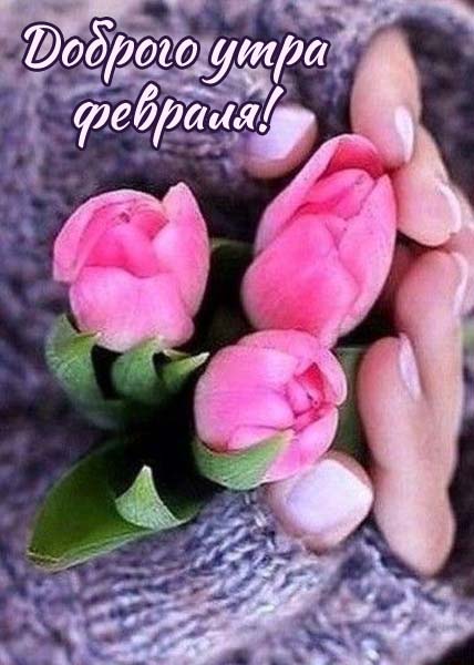 Открытки доброе утро февраля