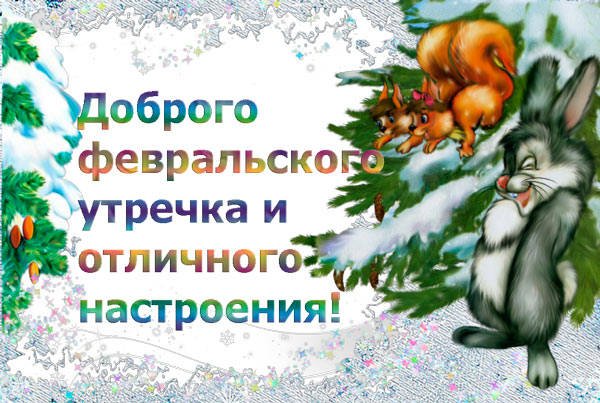 Доброе утро февраля картинки красивые необычные нежные