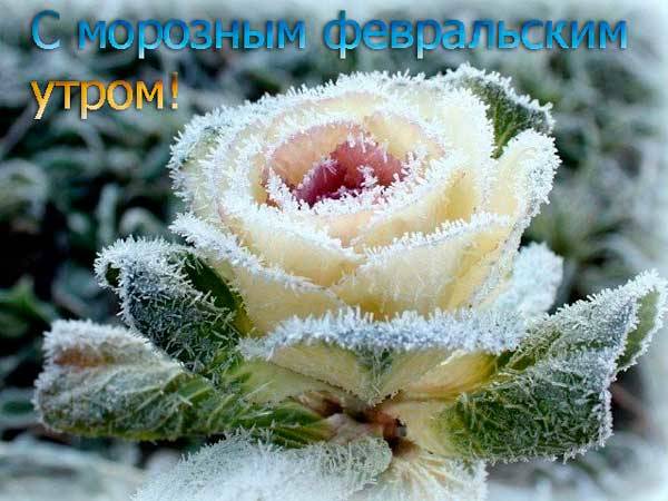 Доброе утро февраля картинки с пожеланиями здоровья