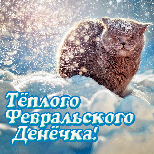 Доброе утро февраля открытки с пожеланиями