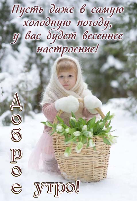 Доброе утро февраля картинки красивые с пожеланиями