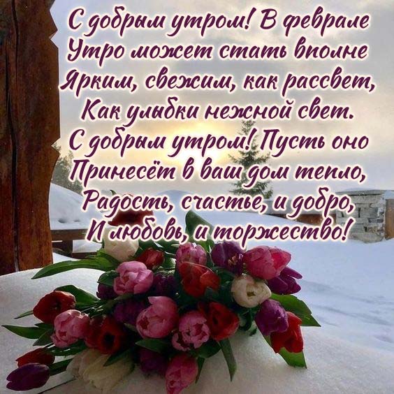 Доброго утра февраля картинки красивые