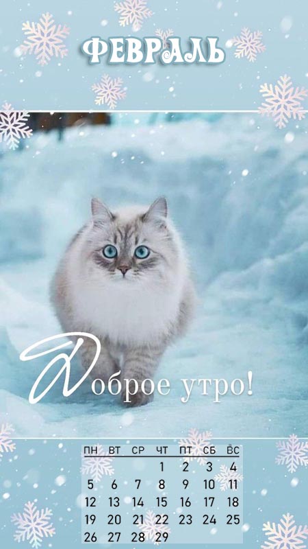 Доброе утро февраля картинки доброго утра 1