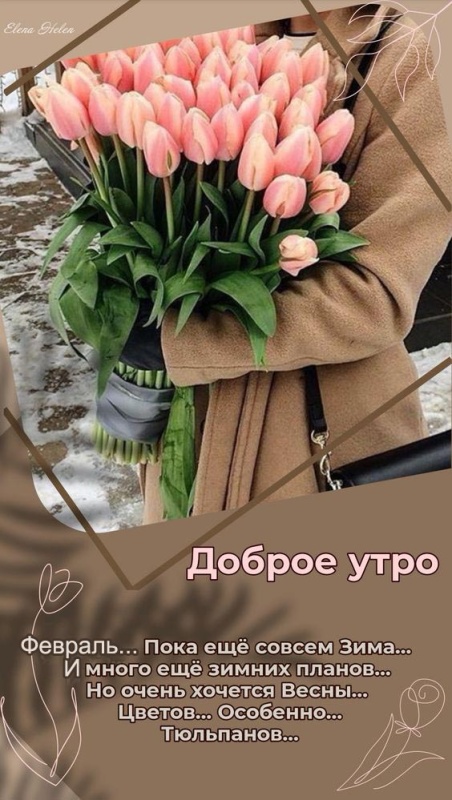 Доброе утро февраля картинки красивые с пожеланиями скачать бесплатно