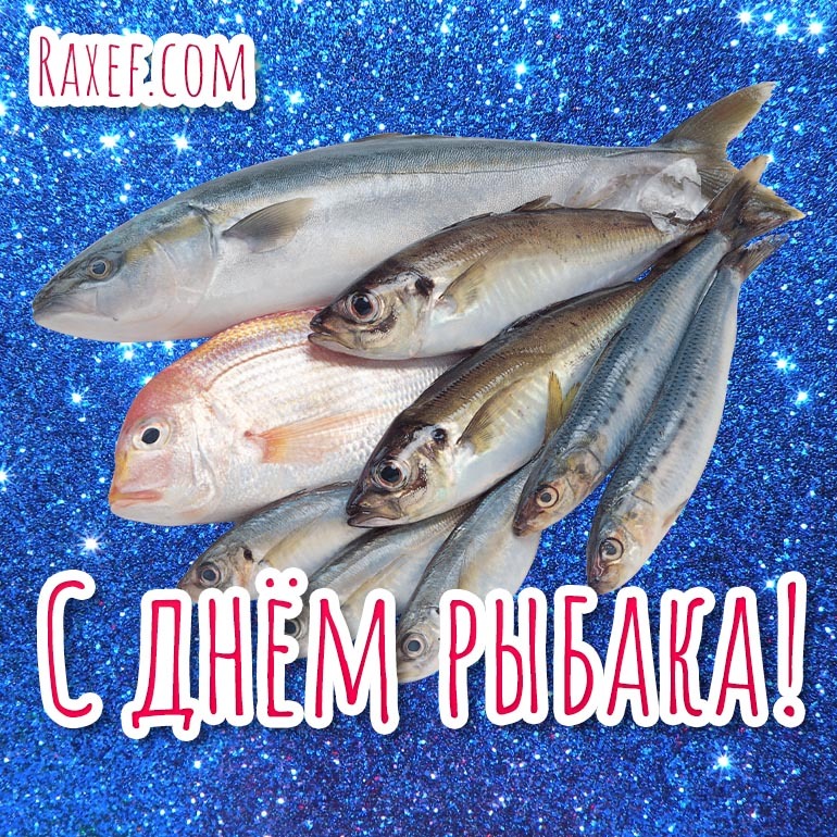 Открытки с днём рыбака мужчине