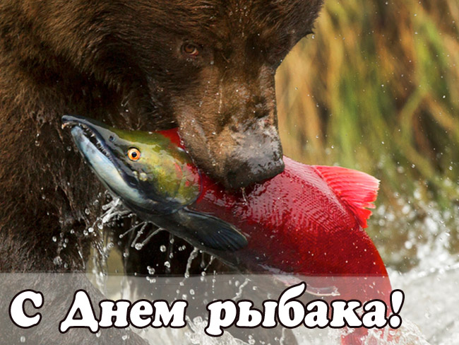 Картинки с днём рыбака прикольные
