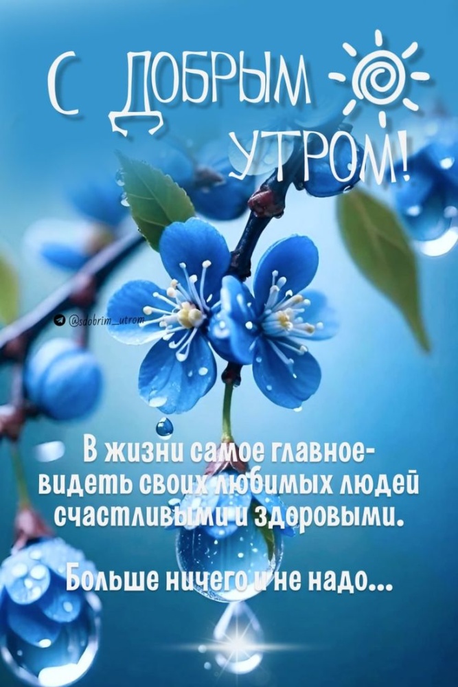 Картинки доброе утро позитивные женщине с цветами