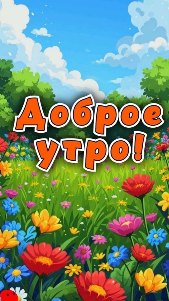 Доброе утро картинки красивые женщине с цветами романтичные