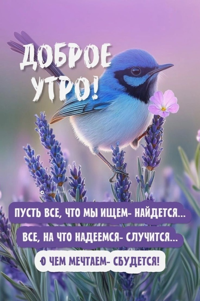 Доброе утро картинки красивые женщине с цветами с пожеланиями