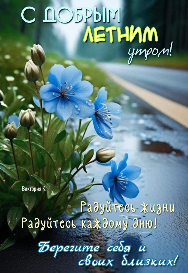 Картинки доброе утро с полевыми цветами
