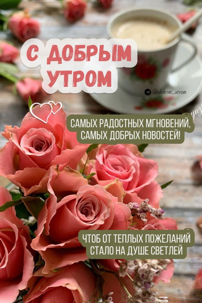 Доброе утро картинки красивые с цветами
