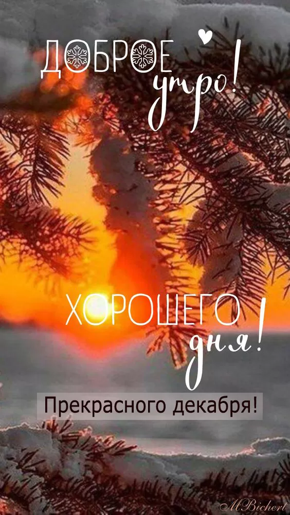 Доброе утро декабря