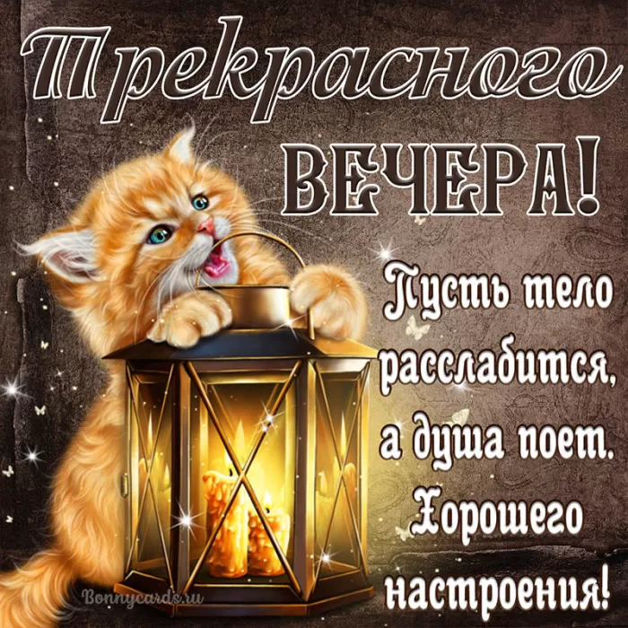 Красивые картинки Добрый вечер 77 открыток Красивые картинки Добрый вечер 77 открыток