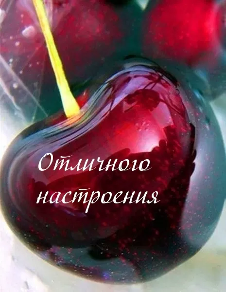 Картинки Отличного настроения 83 открытки Картинки Отличного настроения 83 открытки
