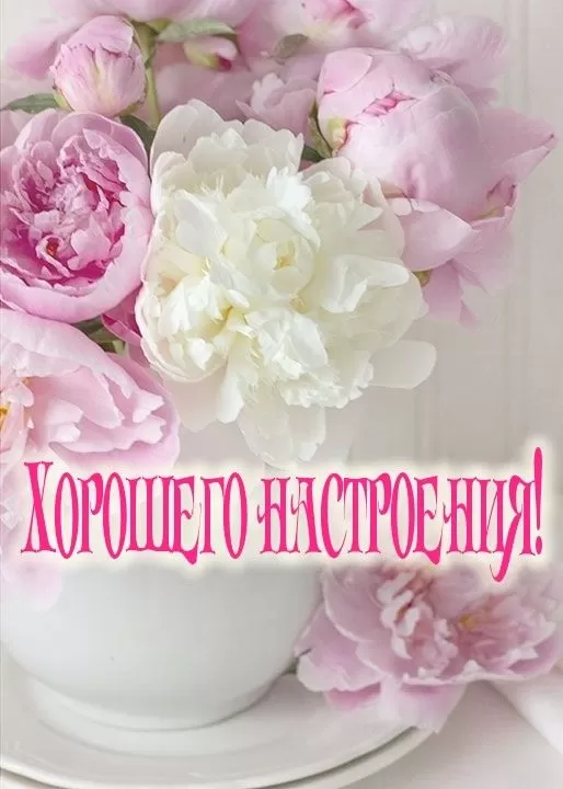 Картинки Хорошего настроения 53 открытки Картинки Хорошего настроения 53 открытки