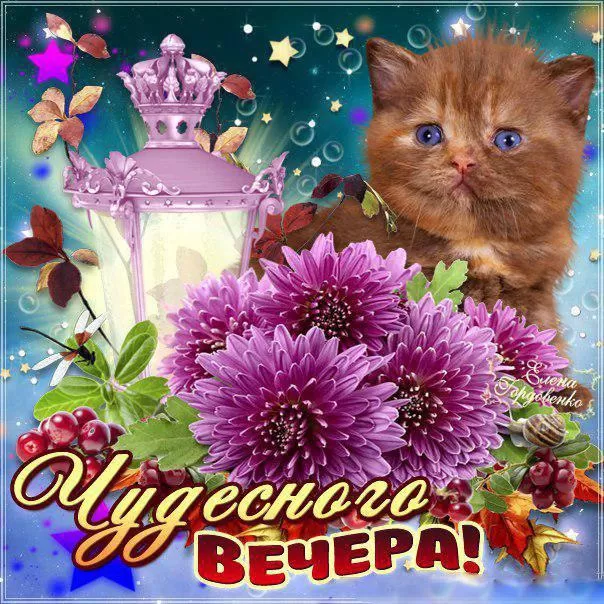 Красивые картинки Добрый вечер 73 открытки Красивые картинки Добрый вечер 73 открытки