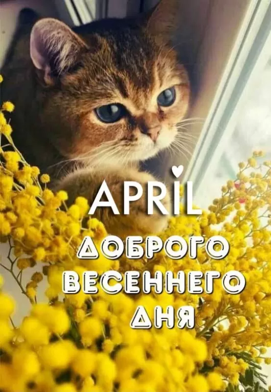 Картинки с Добрым апрельским утром 67 открыток Картинки с Добрым апрельским утром 67 открыток