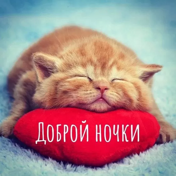 Красивые картинки Спокойной ночи 105 открыток Красивые картинки Спокойной ночи 105 открыток