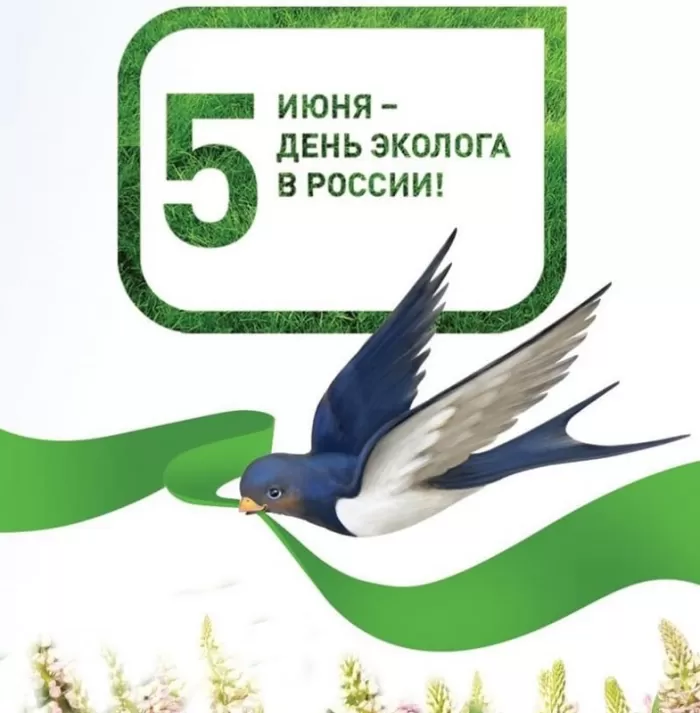 Картинки с Днем эколога 31 открытка Картинки с Днем эколога 31 открытка