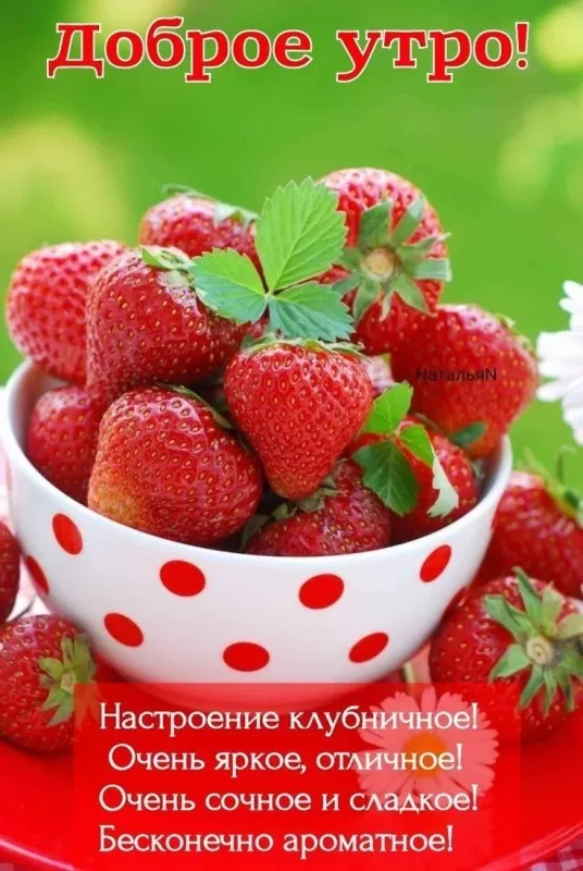 Картинки с Добрым летним утром 88 открыток Картинки с Добрым летним утром 88 открыток