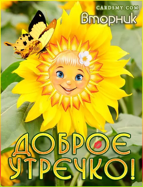 Доброе утро вторника