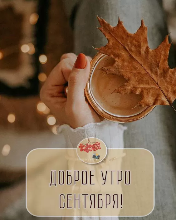 Картинки Доброе утро сентября 63 открытки Картинки Доброе утро сентября 63 открытки