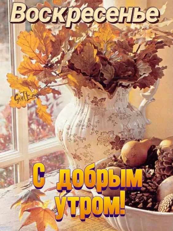 Картинки Доброе утро воскресенья 88 открыток Картинки Доброе утро воскресенья 88 открыток