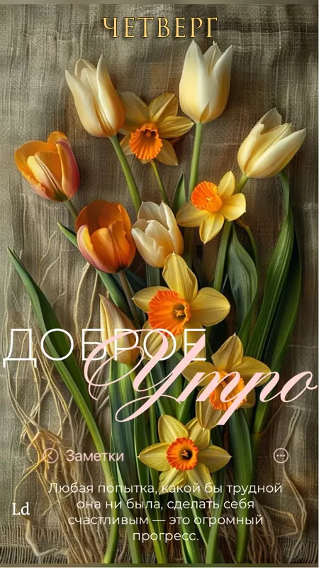 Доброе утро четверга