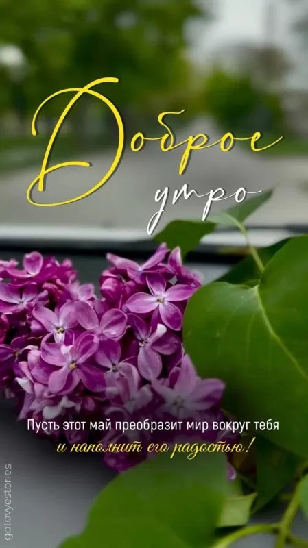 Доброе майское утро