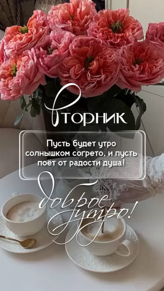 Картинки Доброе утро вторника 57 открыток Картинки Доброе утро вторника 57 открыток